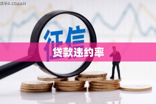 斗门贷款违约率