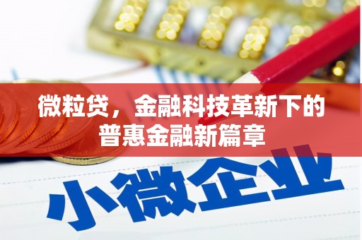 斗门微粒贷，金融科技革新下的普惠金融新篇章