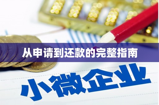 斗门从申请到还款的完整指南