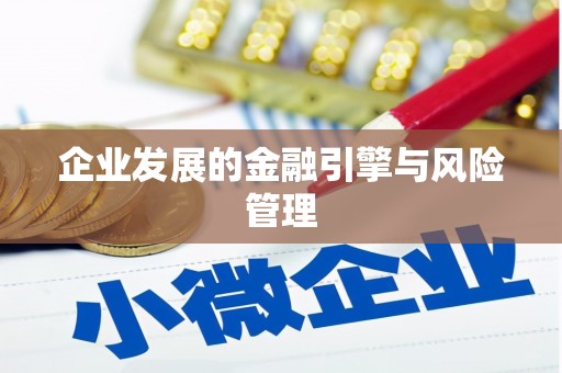 斗门企业发展的金融引擎与风险管理