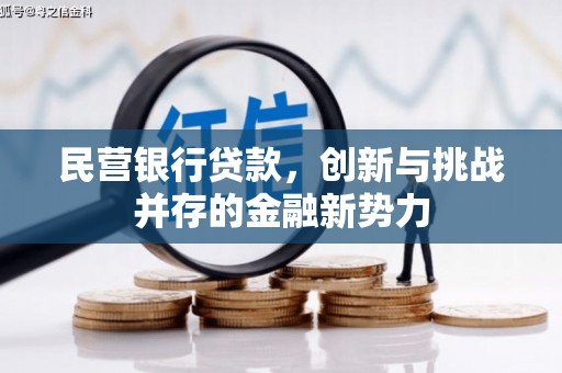 斗门民营银行贷款，创新与挑战并存的金融新势力