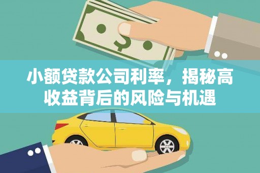 斗门小额贷款公司利率，揭秘高收益背后的风险与机遇