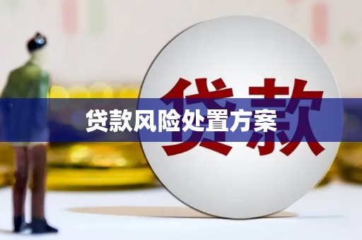 斗门贷款风险处置方案