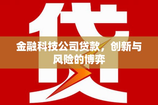 斗门金融科技公司贷款，创新与风险的博弈