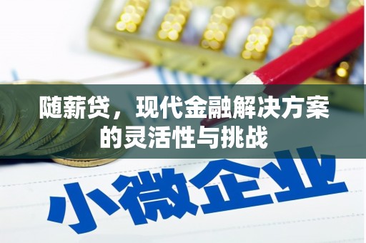 斗门随薪贷，现代金融解决方案的灵活性与挑战