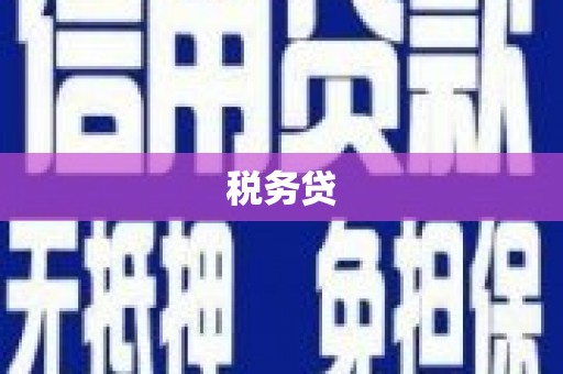 斗门税务贷