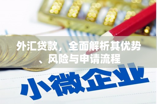 斗门外汇贷款，全面解析其优势、风险与申请流程