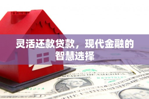 斗门灵活还款贷款，现代金融的智慧选择