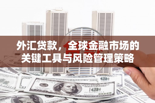 斗门外汇贷款，全球金融市场的关键工具与风险管理策略