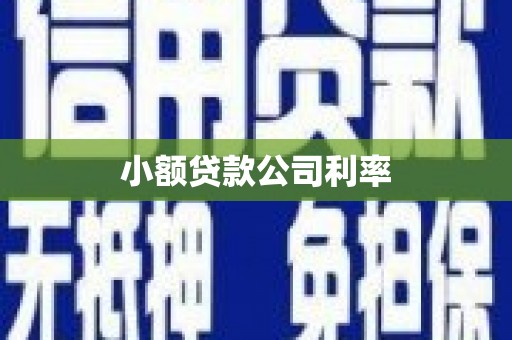 斗门小额贷款公司利率