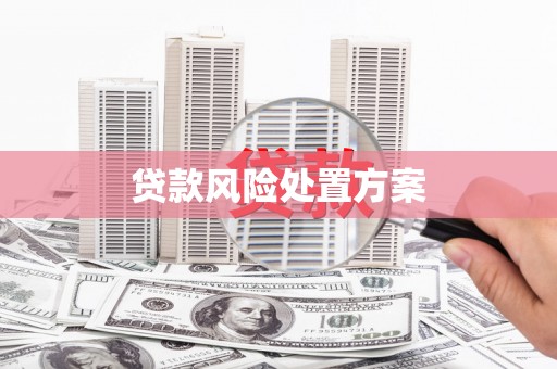 斗门贷款风险处置方案