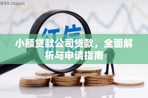 斗门小额贷款公司贷款，全面解析与申请指南