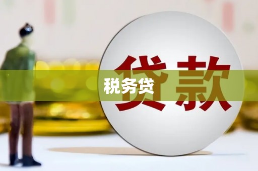 斗门税务贷