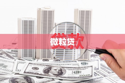 斗门微粒贷