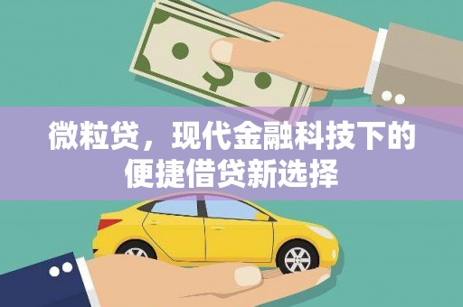 斗门微粒贷，现代金融科技下的便捷借贷新选择