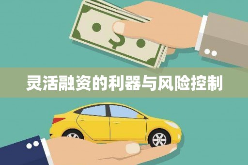 斗门灵活融资的利器与风险控制