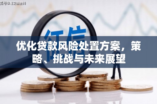 斗门优化贷款风险处置方案，策略、挑战与未来展望