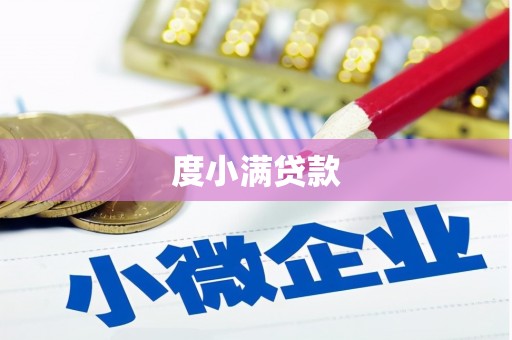 斗门度小满贷款