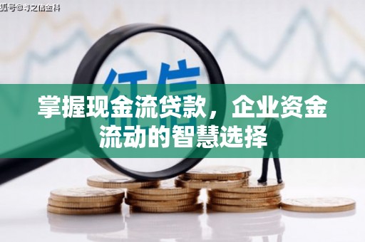 斗门掌握现金流贷款，企业资金流动的智慧选择