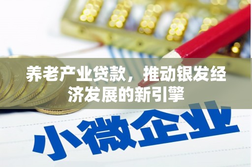 斗门养老产业贷款，推动银发经济发展的新引擎