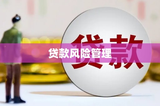 斗门贷款风险管理