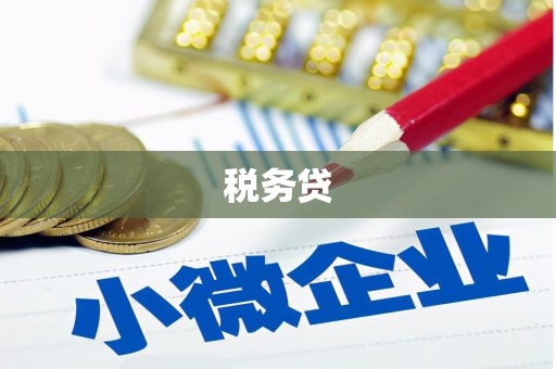 斗门税务贷