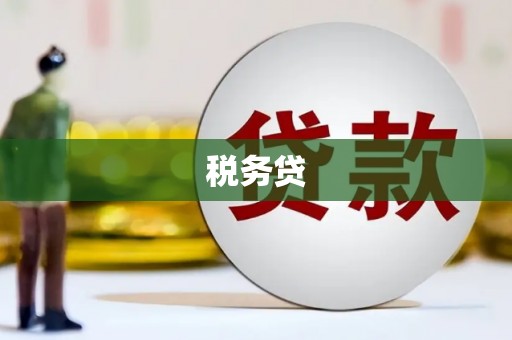斗门税务贷
