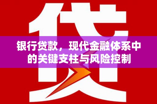 斗门银行贷款，现代金融体系中的关键支柱与风险控制