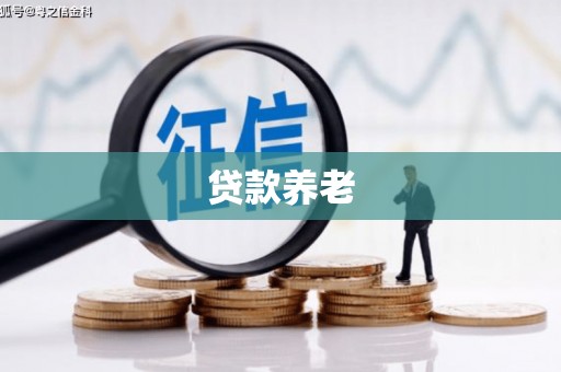 斗门贷款养老