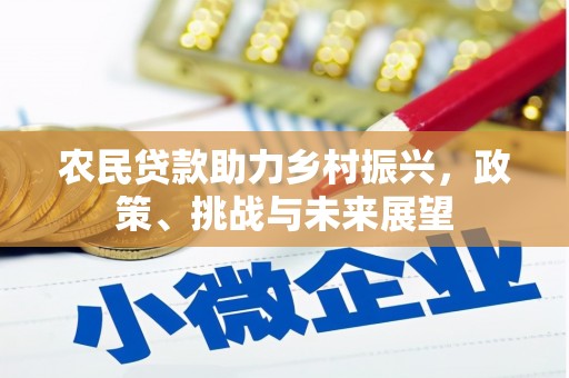 斗门农民贷款助力乡村振兴，政策、挑战与未来展望