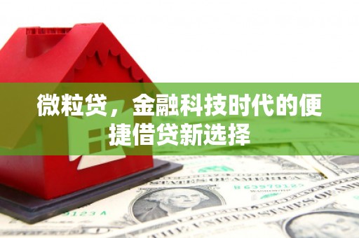 斗门微粒贷，金融科技时代的便捷借贷新选择