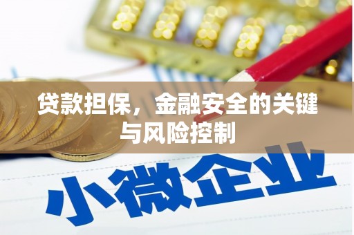 斗门贷款担保，金融安全的关键与风险控制