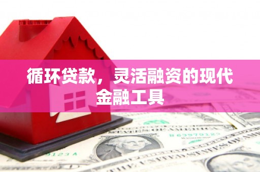 斗门循环贷款，灵活融资的现代金融工具