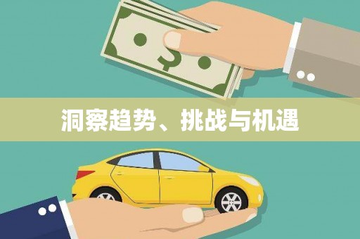 斗门洞察趋势、挑战与机遇