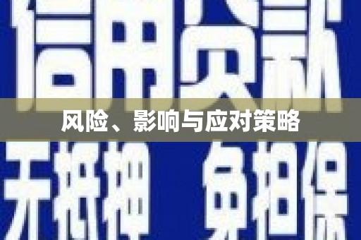 斗门风险、影响与应对策略