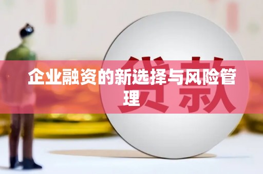 斗门企业融资的新选择与风险管理