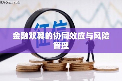 斗门金融双翼的协同效应与风险管理