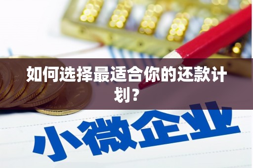 斗门如何选择最适合你的还款计划？