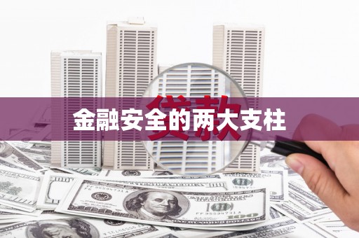斗门金融安全的两大支柱