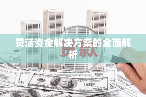 斗门灵活资金解决方案的全面解析